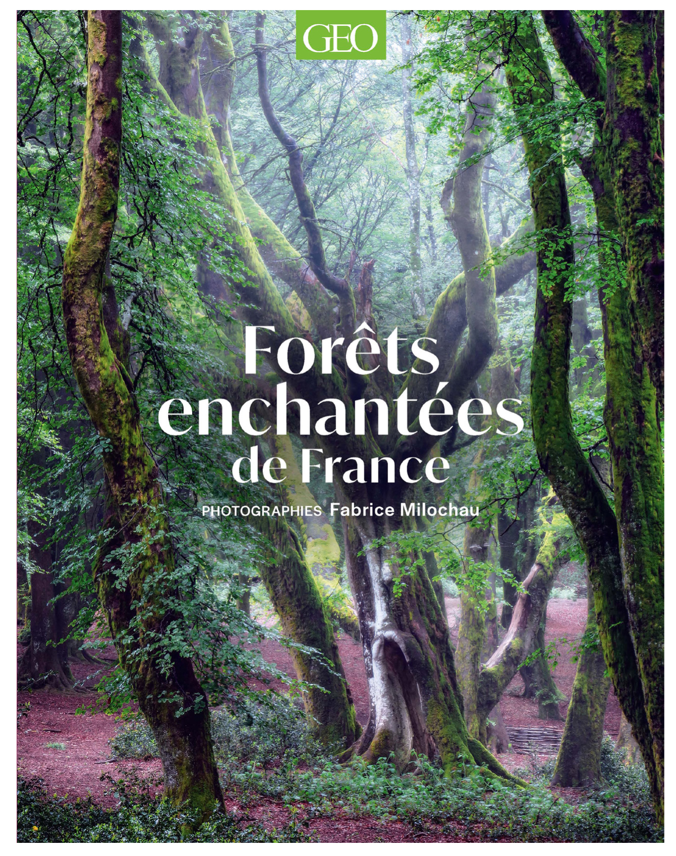 forets enchantées