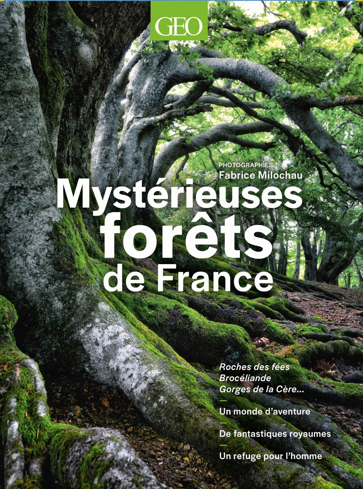 couv foret2